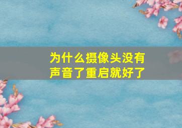 为什么摄像头没有声音了重启就好了