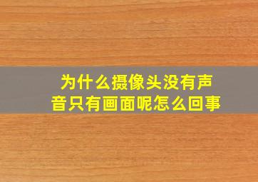 为什么摄像头没有声音只有画面呢怎么回事