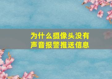 为什么摄像头没有声音报警推送信息