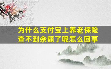 为什么支付宝上养老保险查不到余额了呢怎么回事