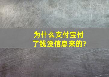 为什么支付宝付了钱没信息来的?