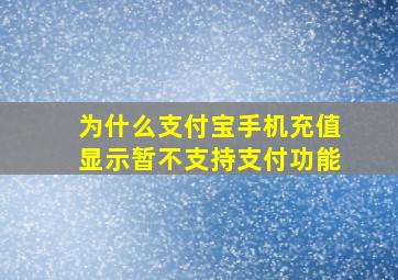 为什么支付宝手机充值显示暂不支持支付功能