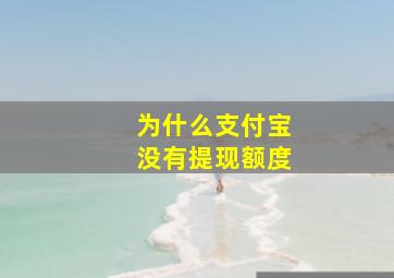 为什么支付宝没有提现额度