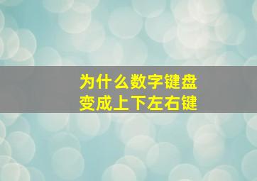 为什么数字键盘变成上下左右键