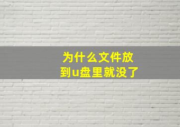 为什么文件放到u盘里就没了