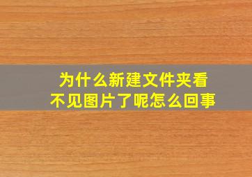 为什么新建文件夹看不见图片了呢怎么回事