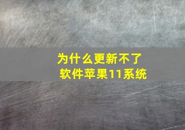 为什么更新不了软件苹果11系统