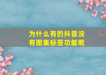 为什么有的抖音没有图集标签功能呢