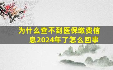 为什么查不到医保缴费信息2024年了怎么回事