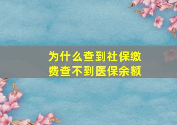 为什么查到社保缴费查不到医保余额