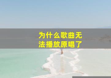 为什么歌曲无法播放原唱了