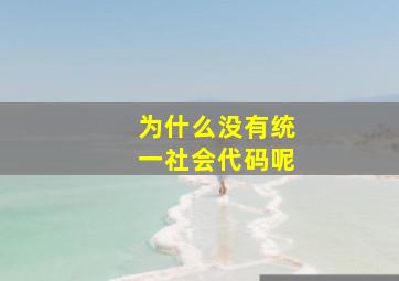 为什么没有统一社会代码呢