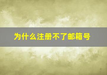 为什么注册不了邮箱号