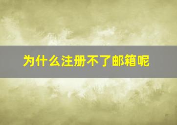 为什么注册不了邮箱呢