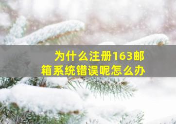 为什么注册163邮箱系统错误呢怎么办