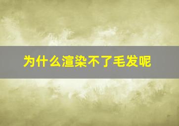 为什么渲染不了毛发呢