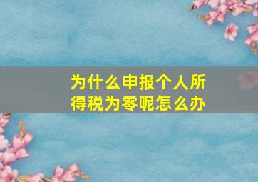 为什么申报个人所得税为零呢怎么办