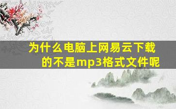 为什么电脑上网易云下载的不是mp3格式文件呢