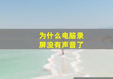 为什么电脑录屏没有声音了