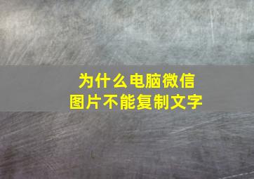 为什么电脑微信图片不能复制文字