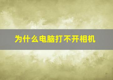 为什么电脑打不开相机