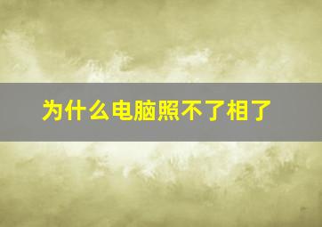 为什么电脑照不了相了