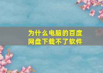 为什么电脑的百度网盘下载不了软件