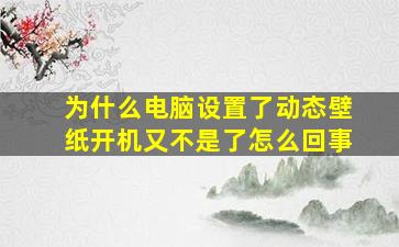 为什么电脑设置了动态壁纸开机又不是了怎么回事