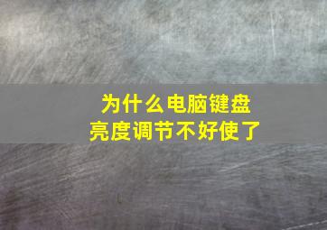 为什么电脑键盘亮度调节不好使了