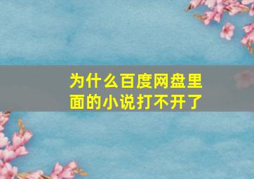 为什么百度网盘里面的小说打不开了