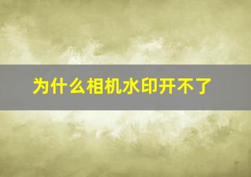 为什么相机水印开不了