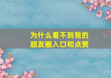 为什么看不到我的朋友圈入口和点赞