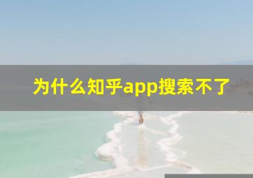 为什么知乎app搜索不了