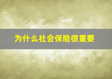 为什么社会保险很重要