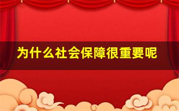 为什么社会保障很重要呢