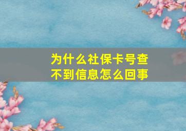 为什么社保卡号查不到信息怎么回事