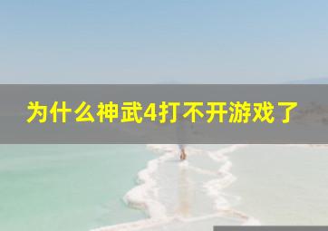 为什么神武4打不开游戏了