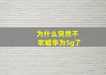 为什么突然不吹嘘华为5g了