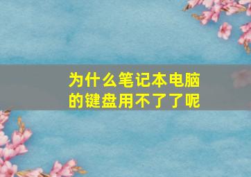 为什么笔记本电脑的键盘用不了了呢