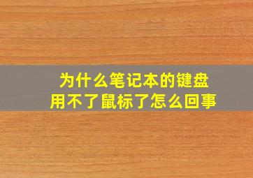 为什么笔记本的键盘用不了鼠标了怎么回事