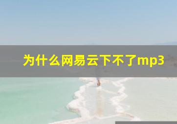 为什么网易云下不了mp3