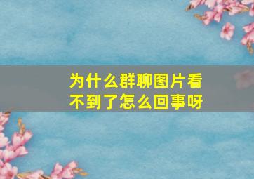 为什么群聊图片看不到了怎么回事呀