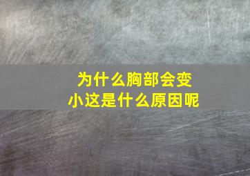 为什么胸部会变小这是什么原因呢