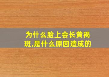 为什么脸上会长黄褐斑,是什么原因造成的