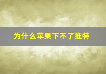 为什么苹果下不了推特