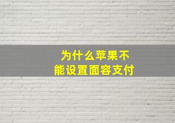 为什么苹果不能设置面容支付