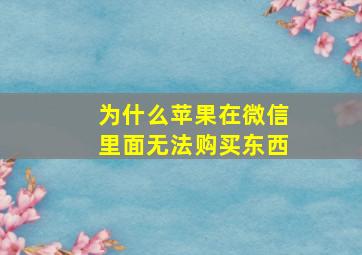 为什么苹果在微信里面无法购买东西