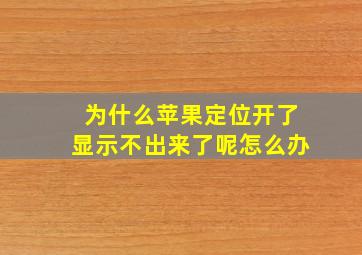 为什么苹果定位开了显示不出来了呢怎么办