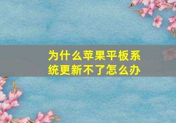 为什么苹果平板系统更新不了怎么办