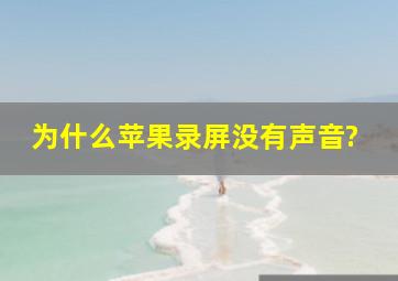 为什么苹果录屏没有声音?